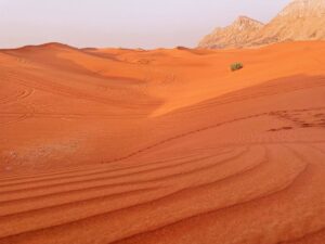 La sabbia del deserto di Sharja è rossastra e non chiara come quella di Dubai