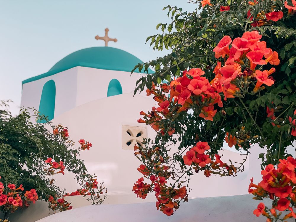 sull'isola di Paros in Grecia ci sono molti angoli adornati con fiori