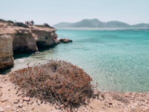 insenature e grotte popolano la costa di Koufonissi
