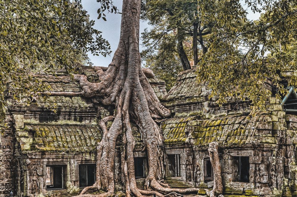 templi di Angkor come viaggio della vita