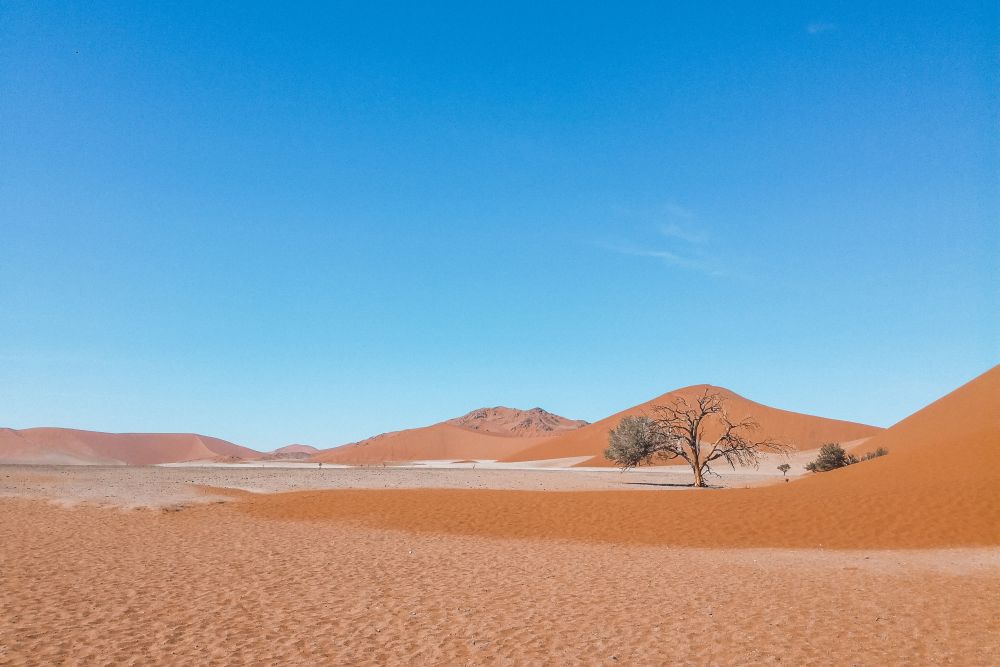 il deserto del Namib è un luogo unico al mondo e può essere il viaggio della vita
