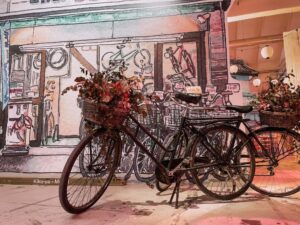 biciclette davanti ad uno storico rivenditore di Tokyo