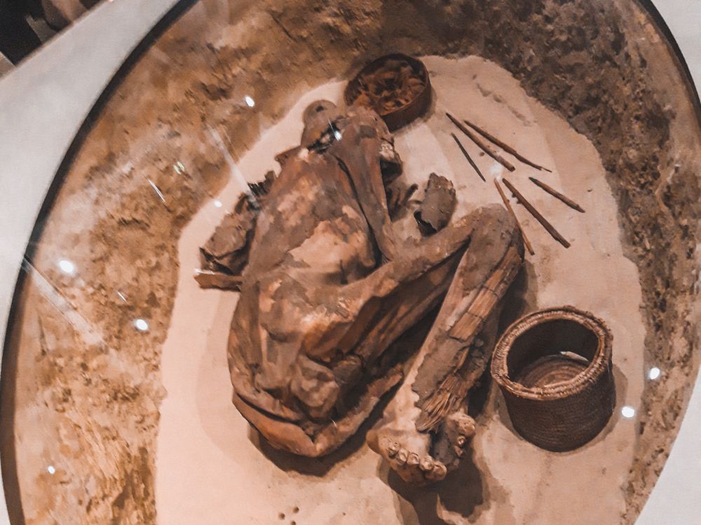 mummia predinstica al Museo Egizio di Torino