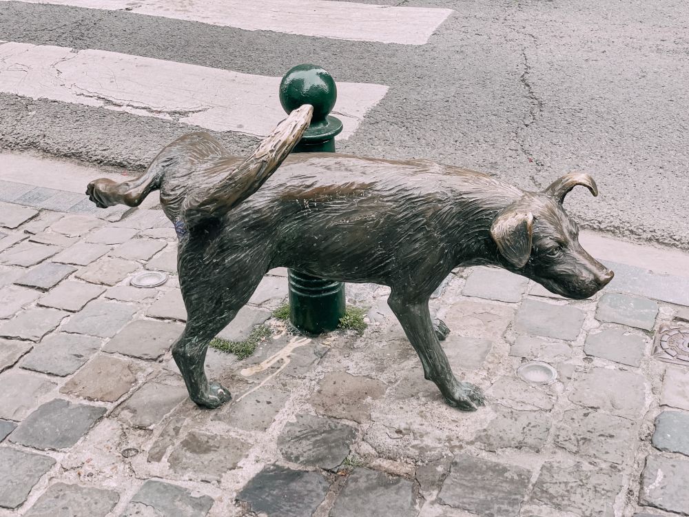 Zinneke Pis è il cane che fa pipì a Bruxelles