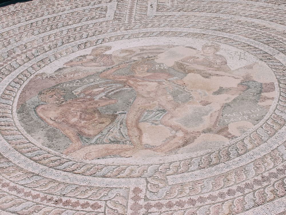 dettaglio del mosaico di Casa di Teseo