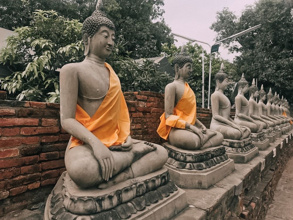statue di Buddha in fila presso Ayutthaya