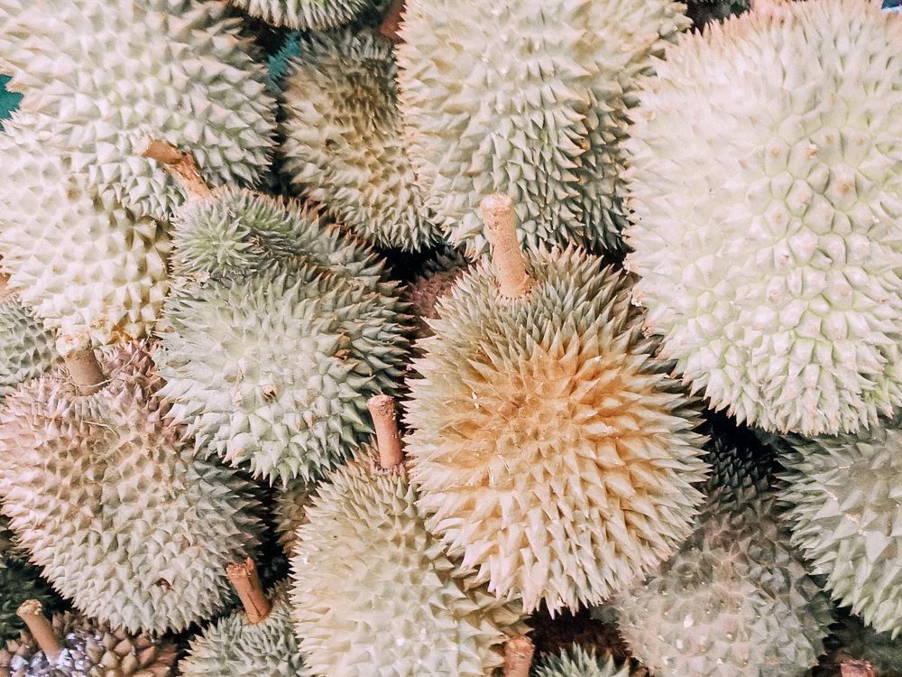 il durian è un frutto vietato in hotel a Chiang Mai
