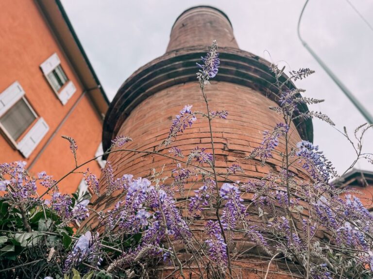 Fioriture a Bologna dove vedere il glicine Liberamente Traveller