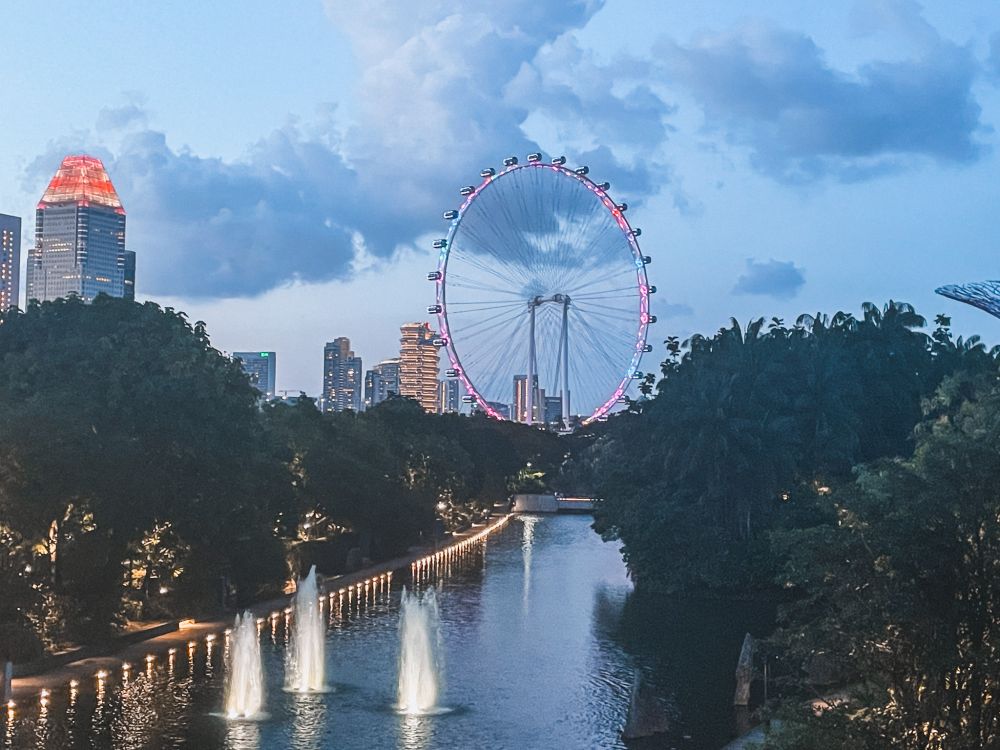 la vista sulla Singapore Flyer dai Gardens by the Bay 