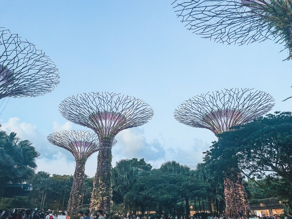 i Supertree di Singapore