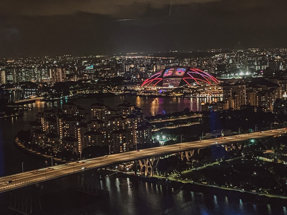 luci colorate per la festa nazionale di Singapore visibili dalla ruota panoramica