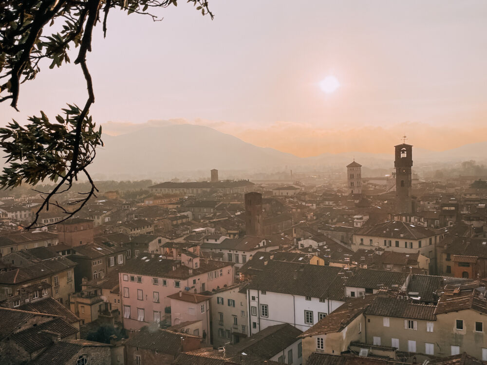 la vista sulla città di Lucca dalla Torre Guinigi