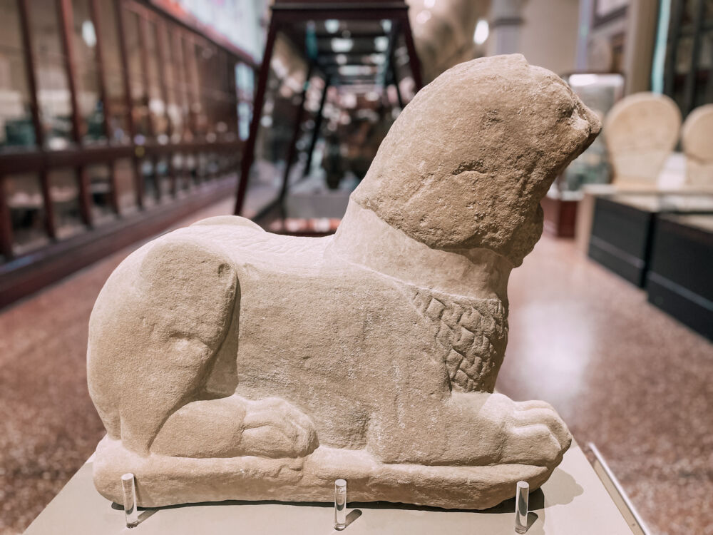 il leone di arenaria nel Museo Civico Archeologico di Bologna
