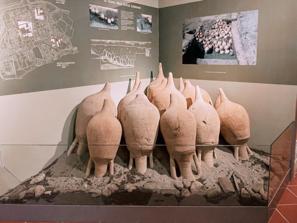 anfore esposte nel Museo Archeologico di Brescello