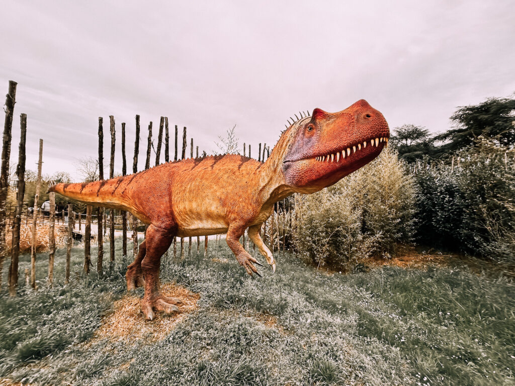 il tirannosauro della mostra dedicata ai dinosauri del Parco della Resistenza