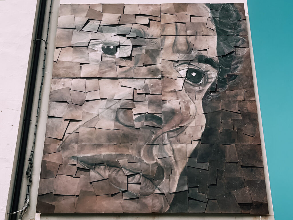 volto di Senna nell'opera di Pierotti a Imola