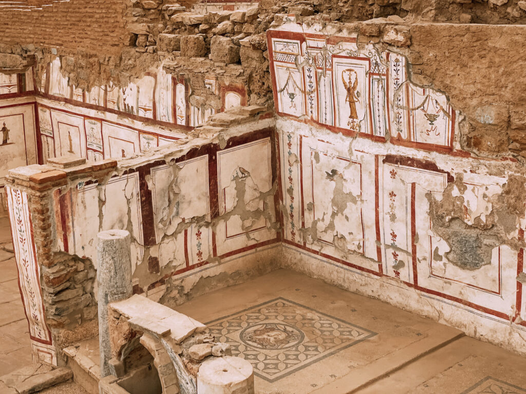 la Sala delle Muse delle Domus Terrazzate di Efeso