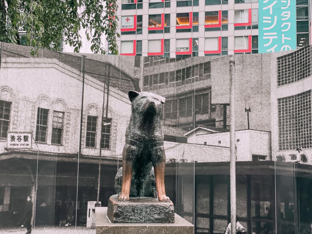 statua del cane hachikō a tokyo