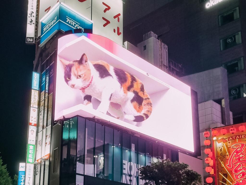 il gatto tridimensionale della stazione di Shinjuku è una delle cose più insolite da vedere in Giappone