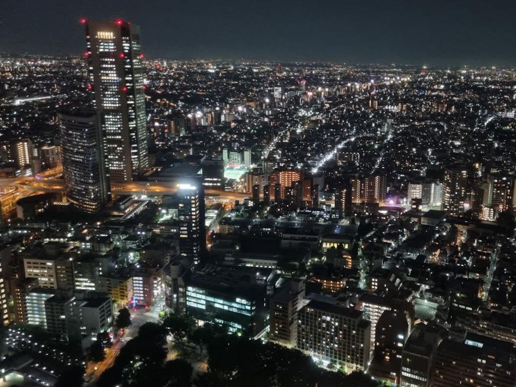 vista di tokyo dall'alto dal palazzo del Governo metropolitano