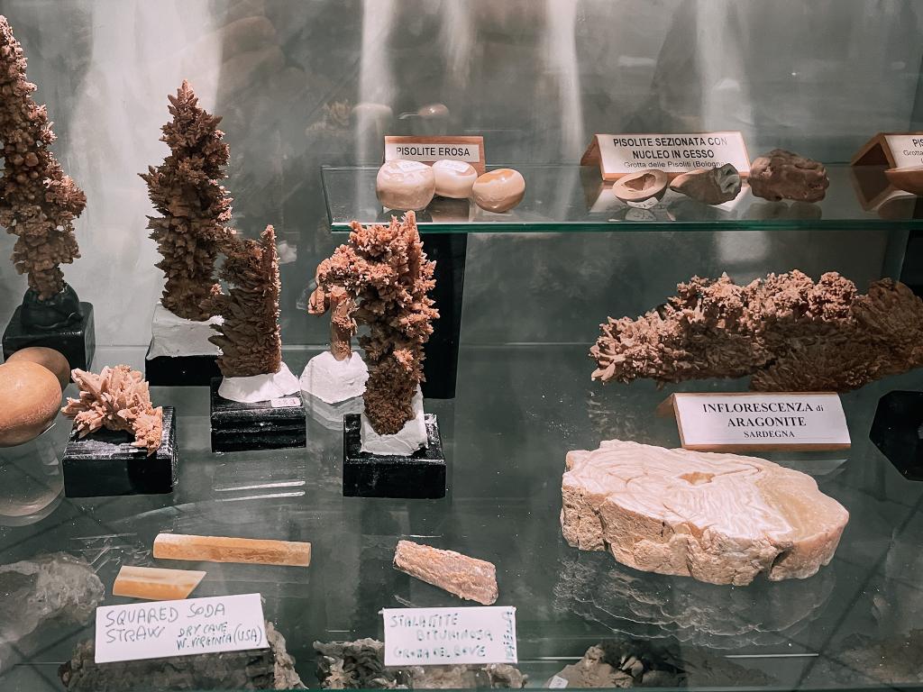 minerali esposti al museo speleologico di Bologna